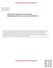 Inside The Fbi'S Domestic Terrorism Strategy