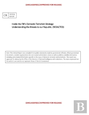 Inside The Fbi'S Domestic Terrorism Strategy