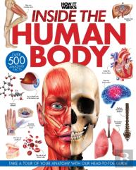 Inside The Human Body