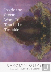 Inside The Storm I Want To Touch The Tremble