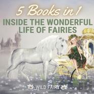 Inside The Wonderful Life Of Fairies