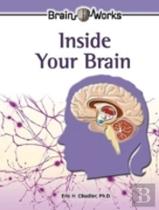 Inside Your Brain