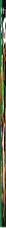 Insiders - Rain Forests