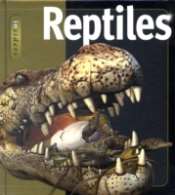 Insiders Reptiles