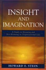 Insight And Imagination
