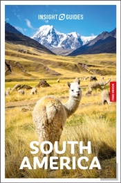 Insight Guides South America: Travel Guide With Ebook