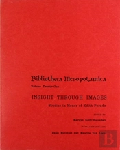 Insight Through Images