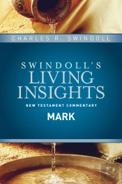 Insights On Mark