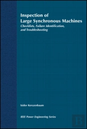 Inspection Of Large Synchronous Machines