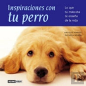 Inspiraciones Con Tu Perro