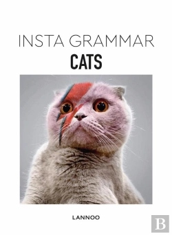 Bertrand.pt - Insta Grammar ; Cats