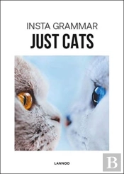 Insta Grammar Just Cats
