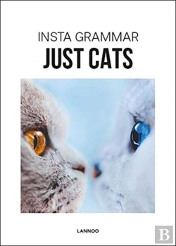 Bertrand.pt - Insta Grammar Just Cats