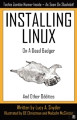 Bertrand.pt - Installing Linux On A Dead Badger