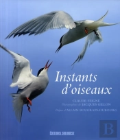 Instants D'Oiseaux