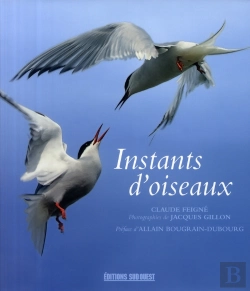 Bertrand.pt - Instants D'Oiseaux
