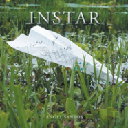 Instar