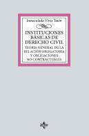Instituciones Basicas De Derecho Civil