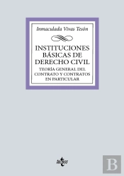 Instituciones Basicas De Derecho Civil