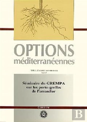 Institut