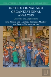 Institutional And Organizational Analysis
