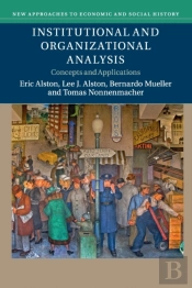 Institutional And Organizational Analysis