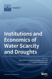 Institutions And Economics Of Water Scar