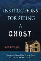 Instructions For Seeing A Ghost