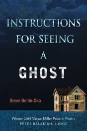 Instructions For Seeing A Ghost