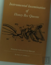 Instrumental Insemination Of Honey Bee Queens