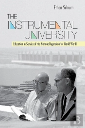 Instrumental University