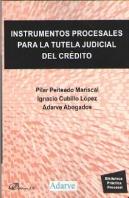 Instrumentos Procesales Para La Tutela Judicial Del Crédito