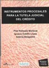 Instrumentos Procesales Para La Tutela Judicial Del Crédito
