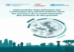Instruments Internationaux Sur L'Utilisation Des Antimicrobiens Dans Les Secteurs De La Sante Humaine, Des Animaux Et Des Plantes