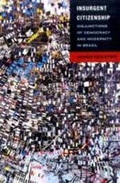 Insurgent Citizenship
