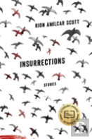 Insurrections