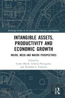 Intangible Assets, Productivity And Economic Growth