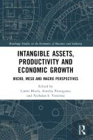 Intangible Assets, Productivity And Economic Growth
