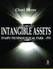 Intangible Assets