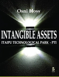 Bertrand.pt - Intangible Assets
