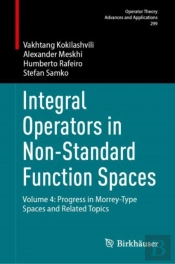 Integral Operators In Non-Standard Function Spaces