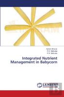Integrated Nutrient Management In Babycorn