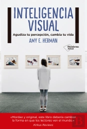 Inteligencia Visual