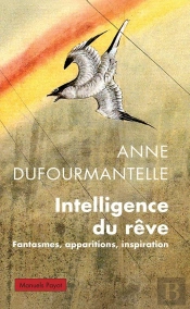 Intelligence Du Rêve : Fantasmes, Apparitions, Inspiration
