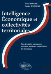 Intelligence Économique Et Collectivités Territoriales ; Des Stratégies Innovantes Pour Une Meilleure Valorisation Des Territoires