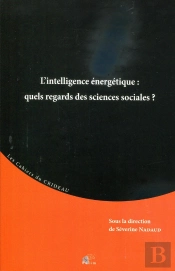 Intelligence Énergétique : Quels Regards Des Sciences Sociales?