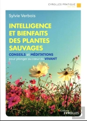 Intelligence Et Bienfaits Des Plantes Sauvages - Conseils, Meditations Et Exercices Pour Plonger Au