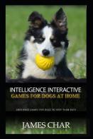 Intelligence Interactive Games For Dogs At Home