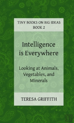 Bertrand.pt - Intelligence Is Everywhere - Looking At Animals, Vegetables, And Minerals