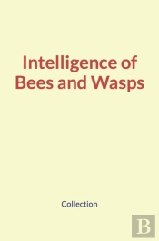 Intelligence Of Bees And Wasps